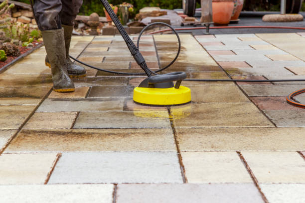  Mount Morris, IL Pressure Washing Pros