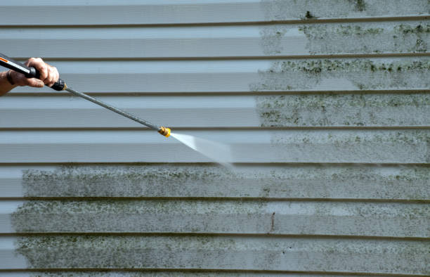 Best Building Exterior Pressure Washing in Mount Morris, IL