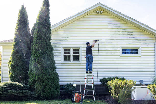 Best Deck and Patio Pressure Washing in Mount Morris, IL