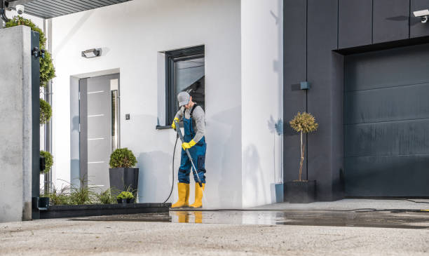 Best Soft Washing for Delicate Surfaces in Mount Morris, IL