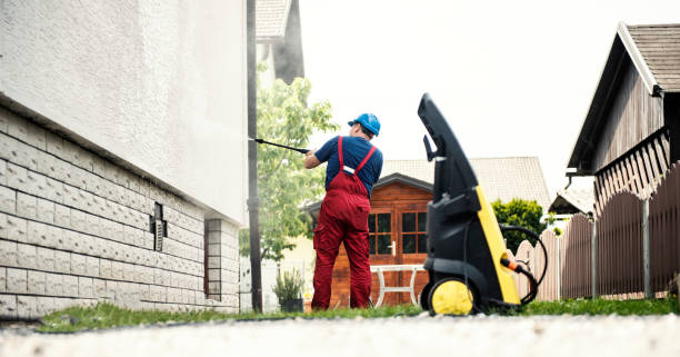 Best Driveway Cleaning and Restoration in Mount Morris, IL